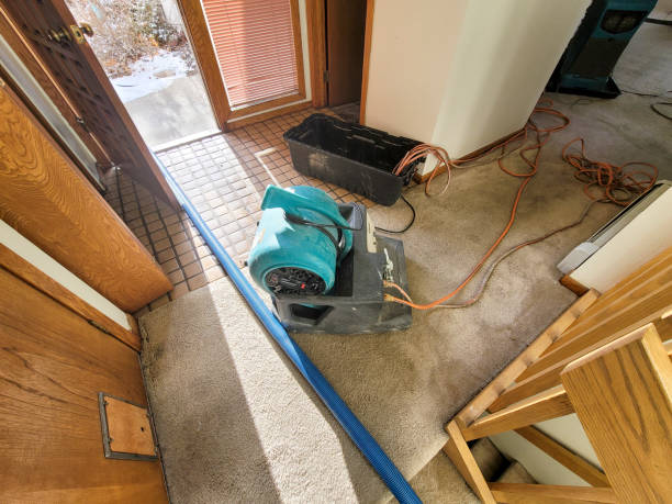 Best Water damage restoration near me  in Upland, CA