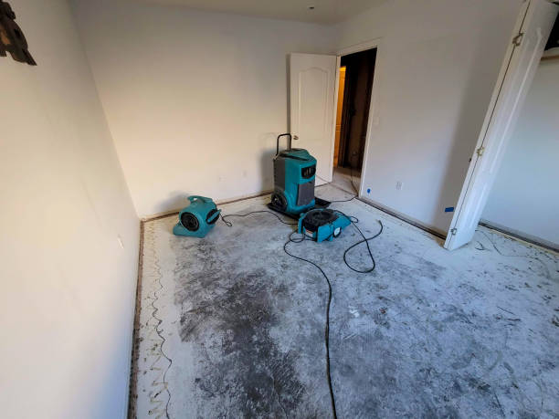  Upland, CA Water damage restoration Pros