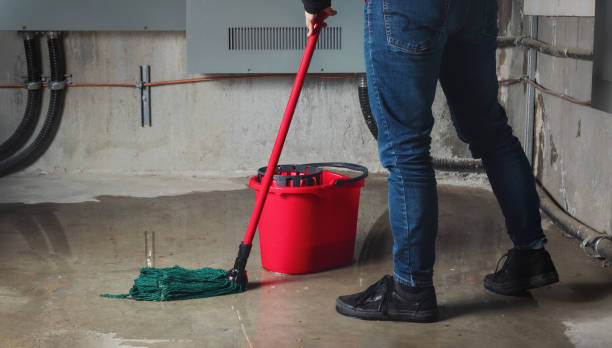 Best Local water damage restoration  in Upland, CA