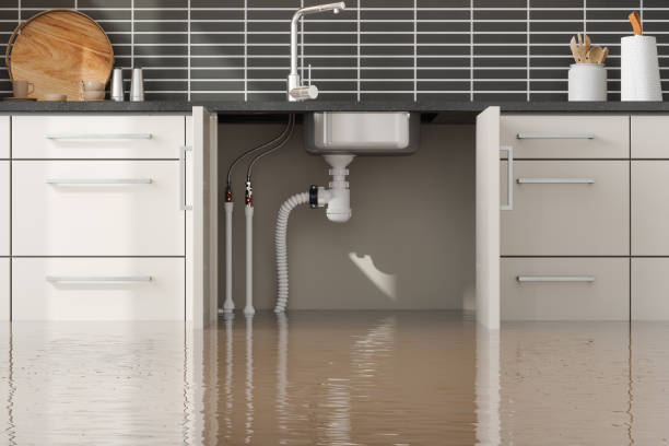 Best Water damage restoration near me  in Upland, CA