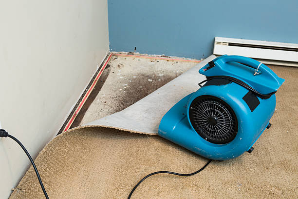 Best Commercial water damage restoration  in Upland, CA